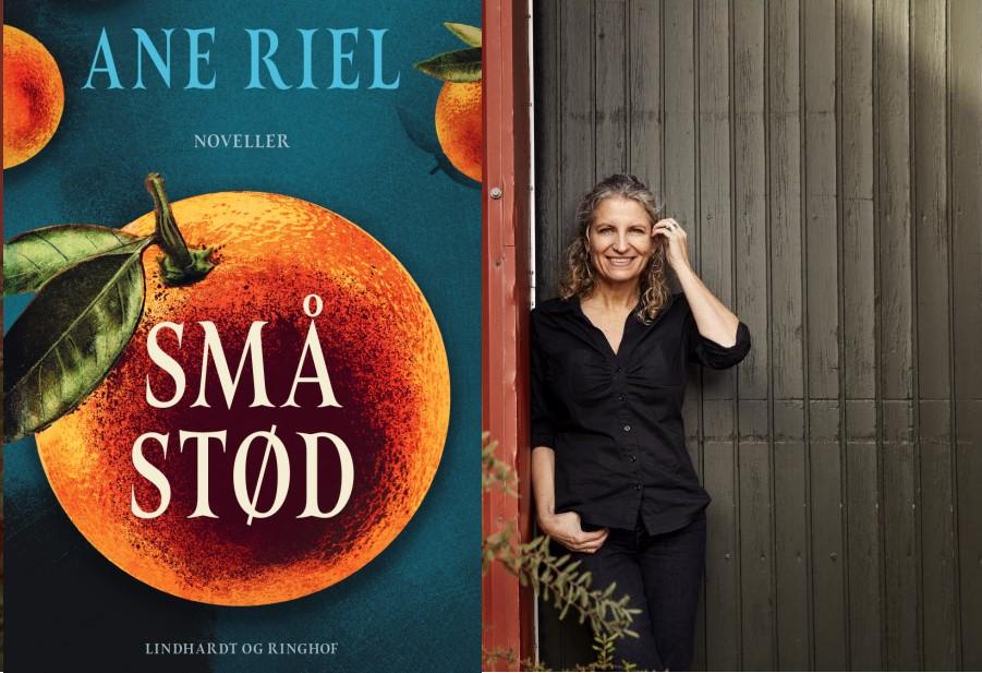 Små stød | Litteratursiden