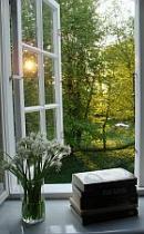 Bøger i vindueskarm med ramsløg