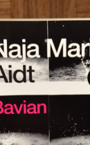 Bavian af Naja Marie Aidt