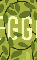 Udsnit af forsiden til bogen Væggen