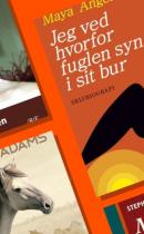 Den amerikanske borgerkrig