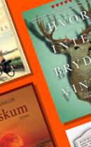 Esbjerg i litteraturen