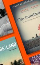 Genforeningen Genforeningen