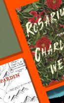 Menneskets forhold til naturen