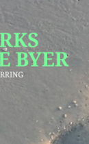 Litteraturen i Hjørring