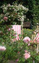 Liggestole i rosenhave