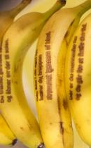 Foto: Sune Bundgaard Foto: Sune Bundgaard