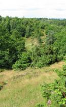 Tinghulen, Mols Bjerge. Foto: Grethe Anæus