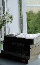 Bøger i vindueskarm