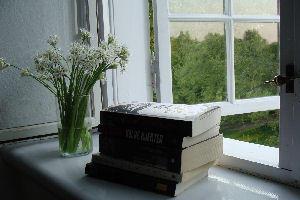 Bøger i vindueskarm